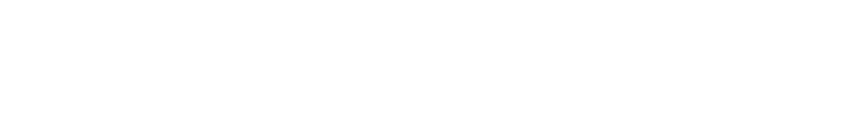 SEITEL S.R.L.